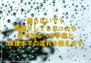 焦らないで！雨漏りしてしまったらまず取るべき手段と修理までの流れを教えます