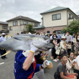 昨年好評だったマグロ解体ショー再び🎣🐟🐡