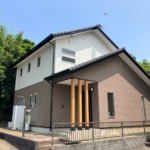 陽ざしと調和する、二色の選択