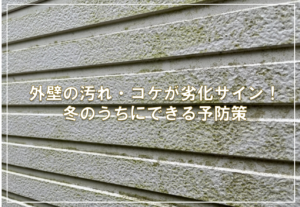 外壁の汚れ・コケが劣化サイン！冬のうちにできる予防策
