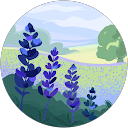 高瀬智子 profile picture