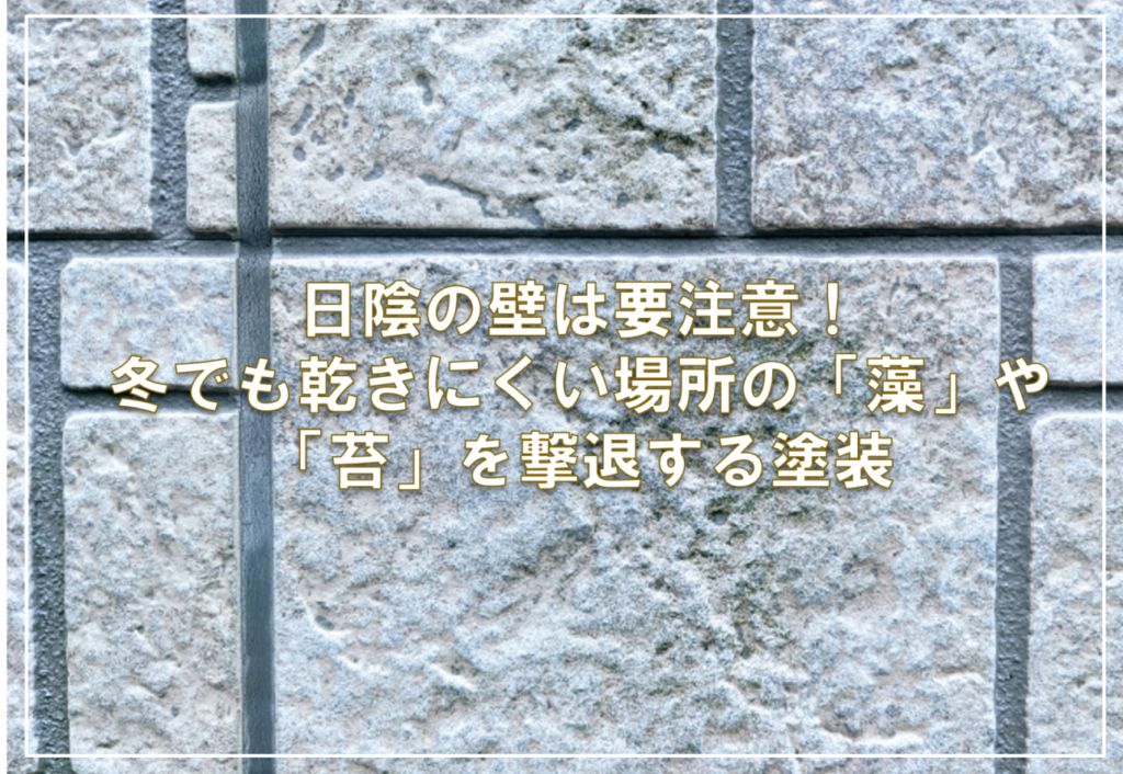 日陰の壁は要注意！冬でも乾きにくい場所の「藻」や「苔」を撃退する塗装