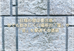 日陰の壁は要注意！冬でも乾きにくい場所の「藻」や「苔」を撃退する塗装