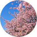 遠井博子 profile picture