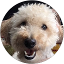 YASUSHI M. profile picture