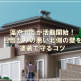 藻やカビが活動開始！日当たりの悪い北側の壁を塗装で守るコツ