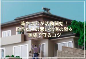 藻やカビが活動開始！日当たりの悪い北側の壁を塗装で守るコツ