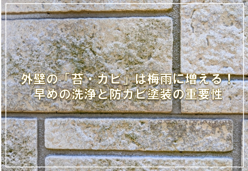 外壁の「苔・カビ」は梅雨に増える！早めの洗浄と防カビ塗装の重要性