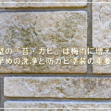 外壁の「苔・カビ」は梅雨に増える！早めの洗浄と防カビ塗装の重要性