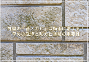 外壁の「苔・カビ」は梅雨に増える！早めの洗浄と防カビ塗装の重要性