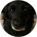 Mitsukaza M. profile picture