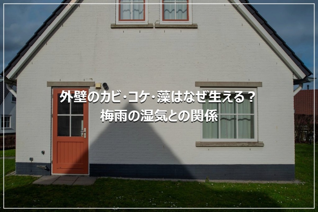 外壁のカビ・コケ・藻はなぜ生える？梅雨の湿気との関係