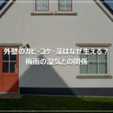 外壁のカビ・コケ・藻はなぜ生える？梅雨の湿気との関係