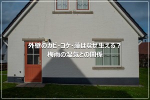 外壁のカビ・コケ・藻はなぜ生える？梅雨の湿気との関係