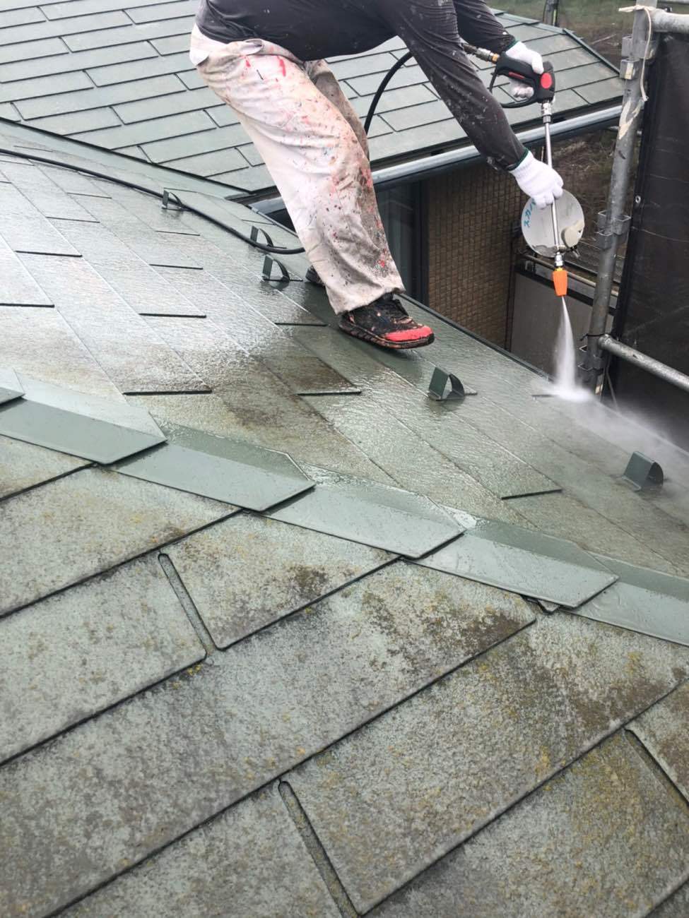 外壁にコケが発生する原因と予防策 コケを落とす方法とは 塗装屋ぬりべえ